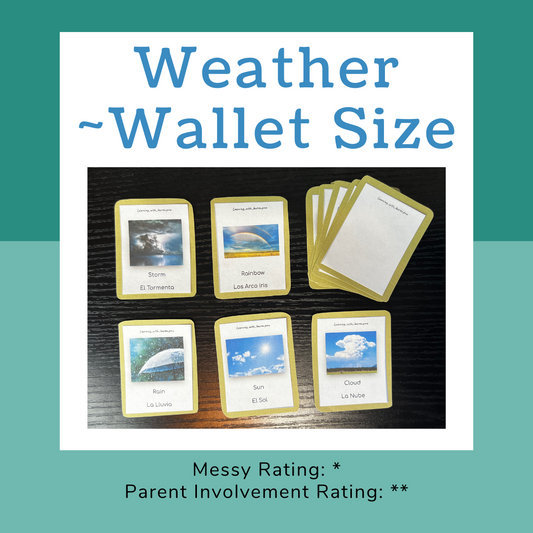 {Wallet} Flashcards ~ Weather