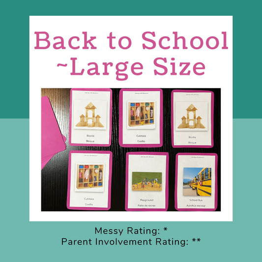 {Large} Flashcards ~ Back To School