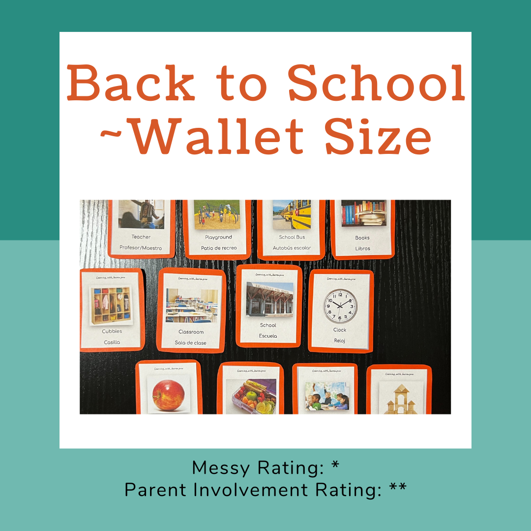 {Wallet} Flashcards ~ Back To School