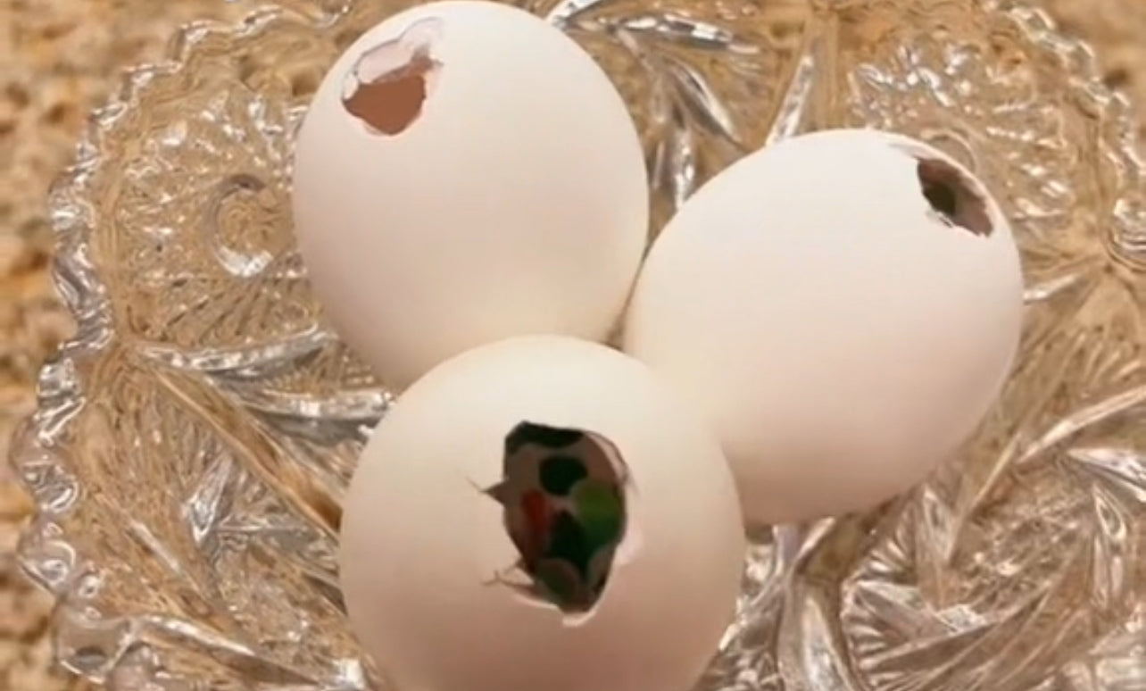 Game ~ Natural Confetti Eggs